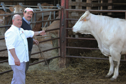Viande
